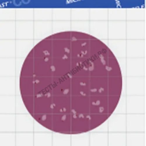 MicroFast Coliform Count (СC) LR 1002