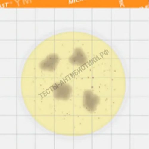 MicroFast для дрожжей и плесеней (YM) LR 1003