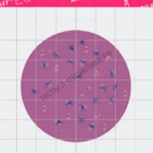 MicroFast Coliform&E.coli Count (EC) LR 1007