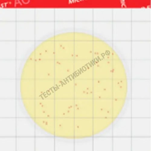 MicroFast Aerobic Count (AC) LR 1001